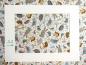 Preview: Patchworkstoff aus der Serie Doodle Days mit Eichhörnchen Fuchs Uhu Igel von Makower  A4 Ansicht